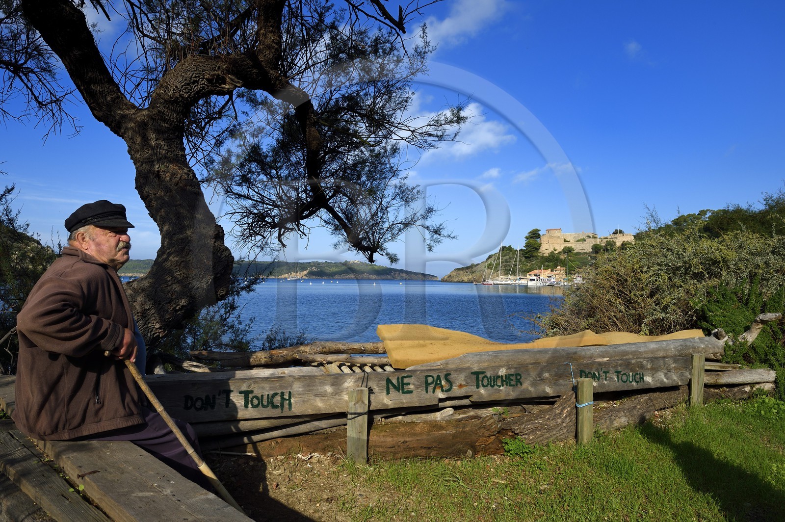 France, Var (83), Iles d'Hyères, parc national de Port Cros, Ile de Port-Cros, un vieil habitant de l'Ile contemple le Fort du Moulin surplombe le village de Port Cros