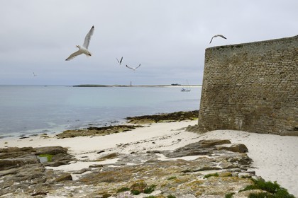 France, Finistere, La Foret Fouesnant, Glenan islands, St Nicolas Island, Fort Cigogne on Cigogne Island