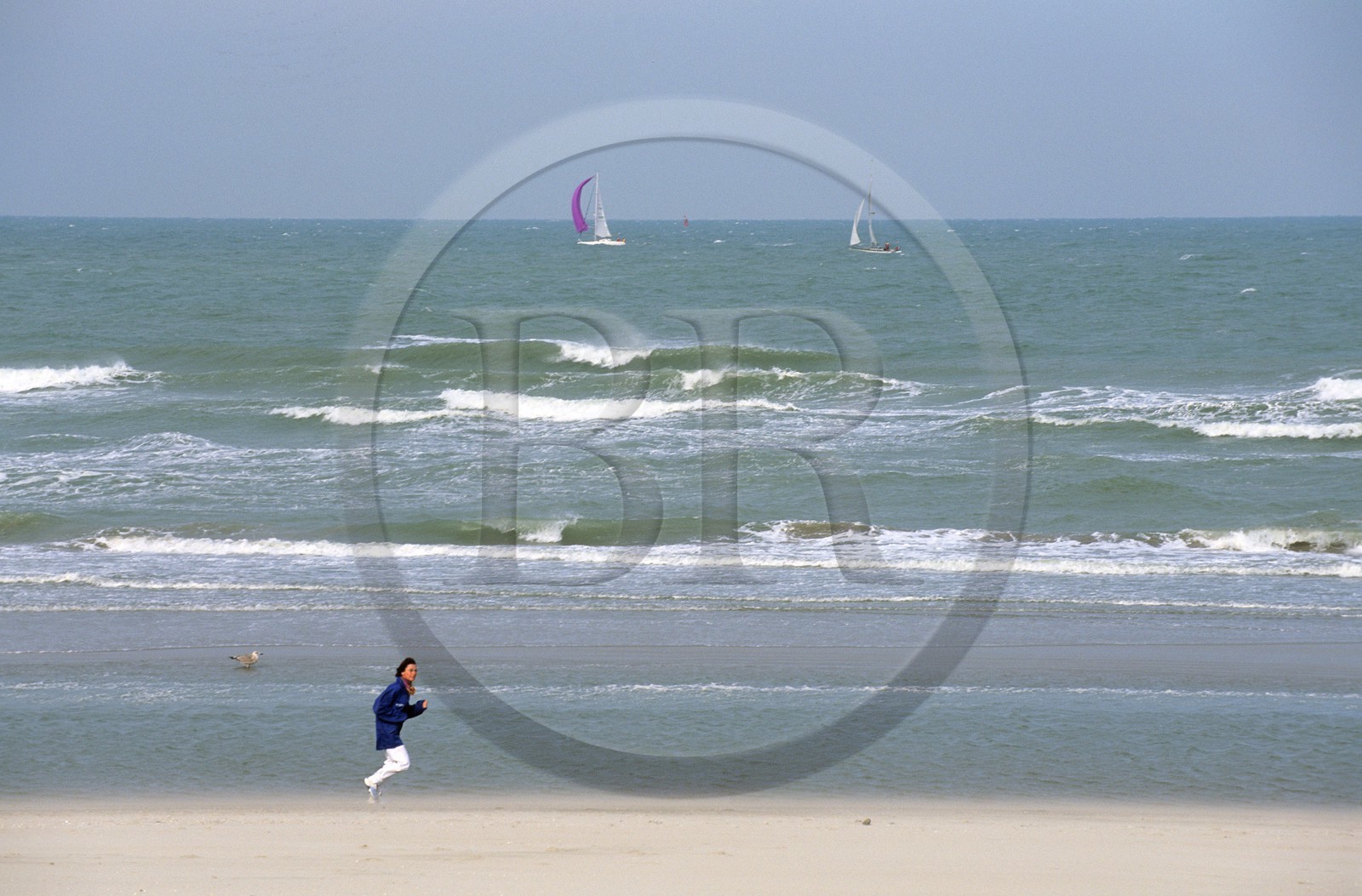 France, Nord, Bray-Dunes, Nature reserve of Westhoek, beach on the French-Belgian border