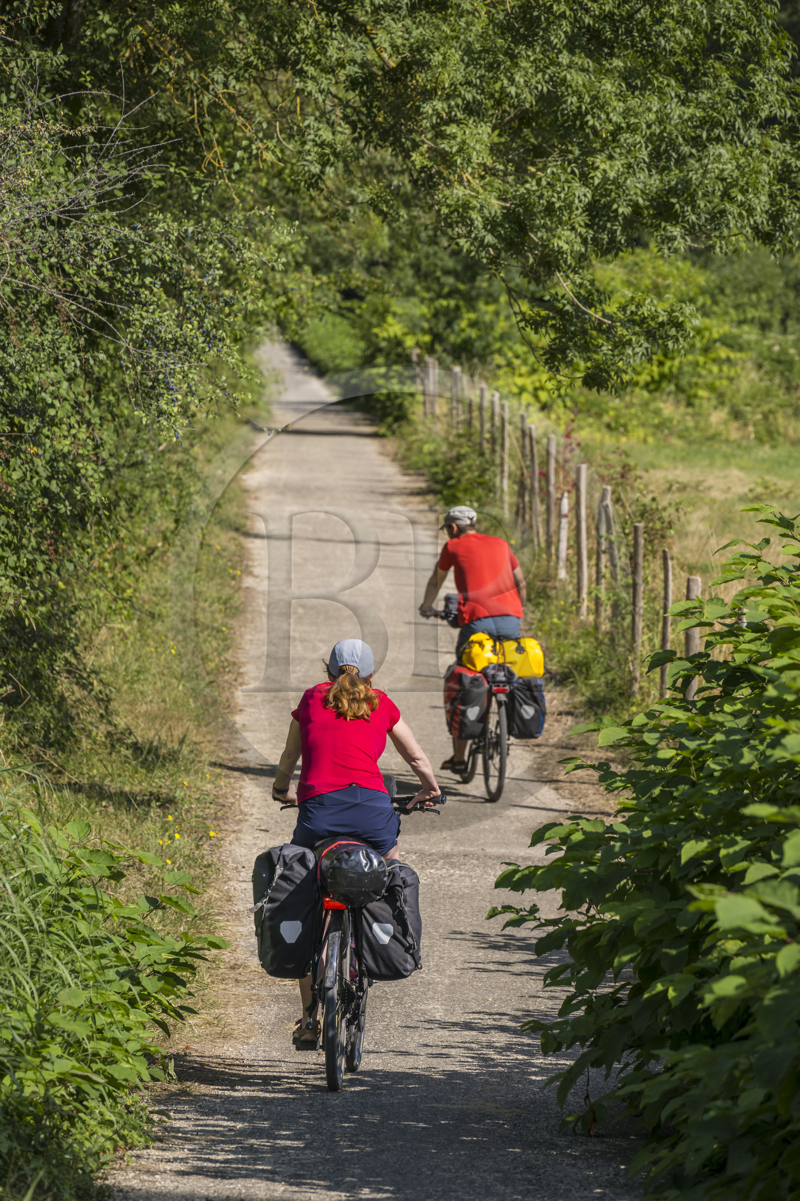 France, Maine-et-Loire (49), vallée de la Loire classée au Patrimoine Mondial par l'UNESCO, Saumur vers Saint-Hilaire, randonnée à bicyclette sur les berges de la Loire France, Maine-et-Loire, Loire valley listed as World Heritage by UNESCO, Saumur towards Saint-Hilaire, cycling on the banks of the Loire
