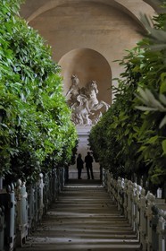 France, Yvelines (78), château de Versailles, classé Patrimoine Mondial de l'UNESCO, l'Orangerie en hiver de Jules Hardouin-Mansart