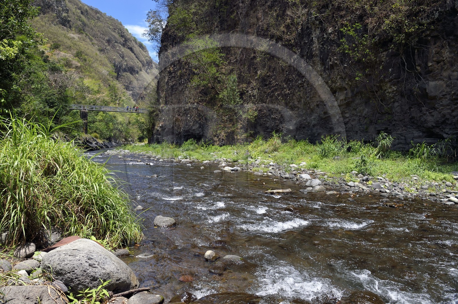 France, Ile de la Reunion, Parc National de la Réunion classé Patrimoine Mondial de l'UNESCO, Entre-Deux, sentier de randonnée qui passe sur le pont au dessus de la rivière Bras de la Plaine