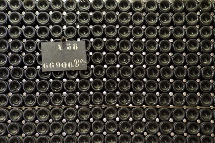 France, Marne (51), Reims le champagne, les caves du Domaine Pommery