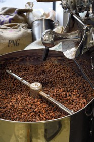 France, Pyrénées-Atlantiques (64), Pays-Basque, Bayonne, fèves de cacao dans le torrefacteur