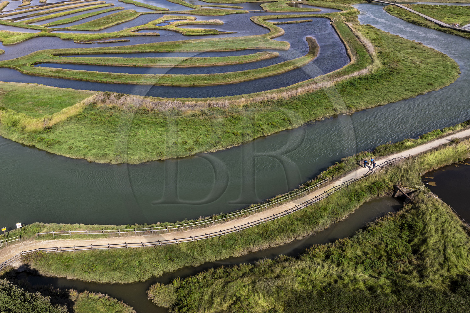 France, Vendée (85), Talmont Saint Hilaire, Guittière marshes in the hinterland of Pointe du Payré, Passage du Cul d’Ane, marshes developed for fish farming of sea bream, mullet and eels (aerial view)