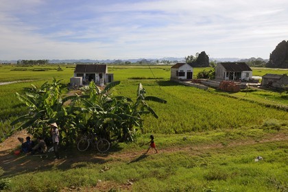 Vietnam, Ninh Binh province, small farms in the middle of ricefields