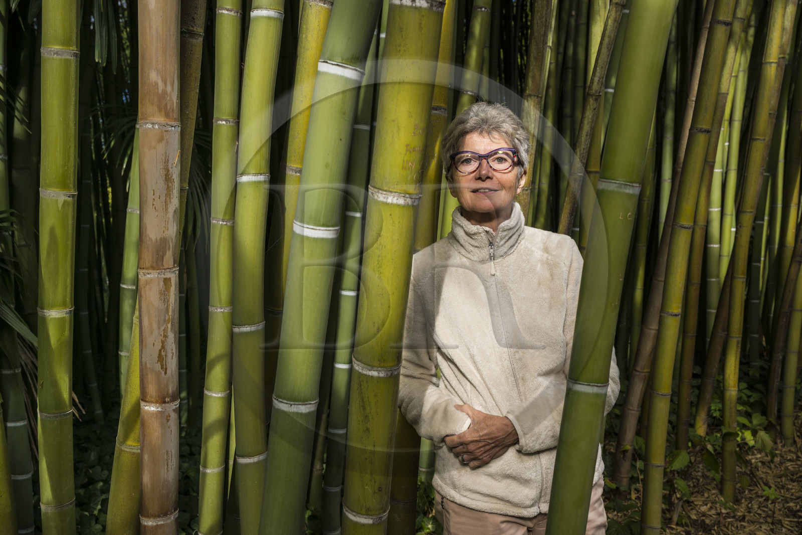 France, Gard (30), Générargues vers Anduze, Bambouseraie en Cévennes, la présidente et directrice Muriel Nègre