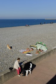 France, Seine-Maritime (76), Dieppe, la plage de galets
