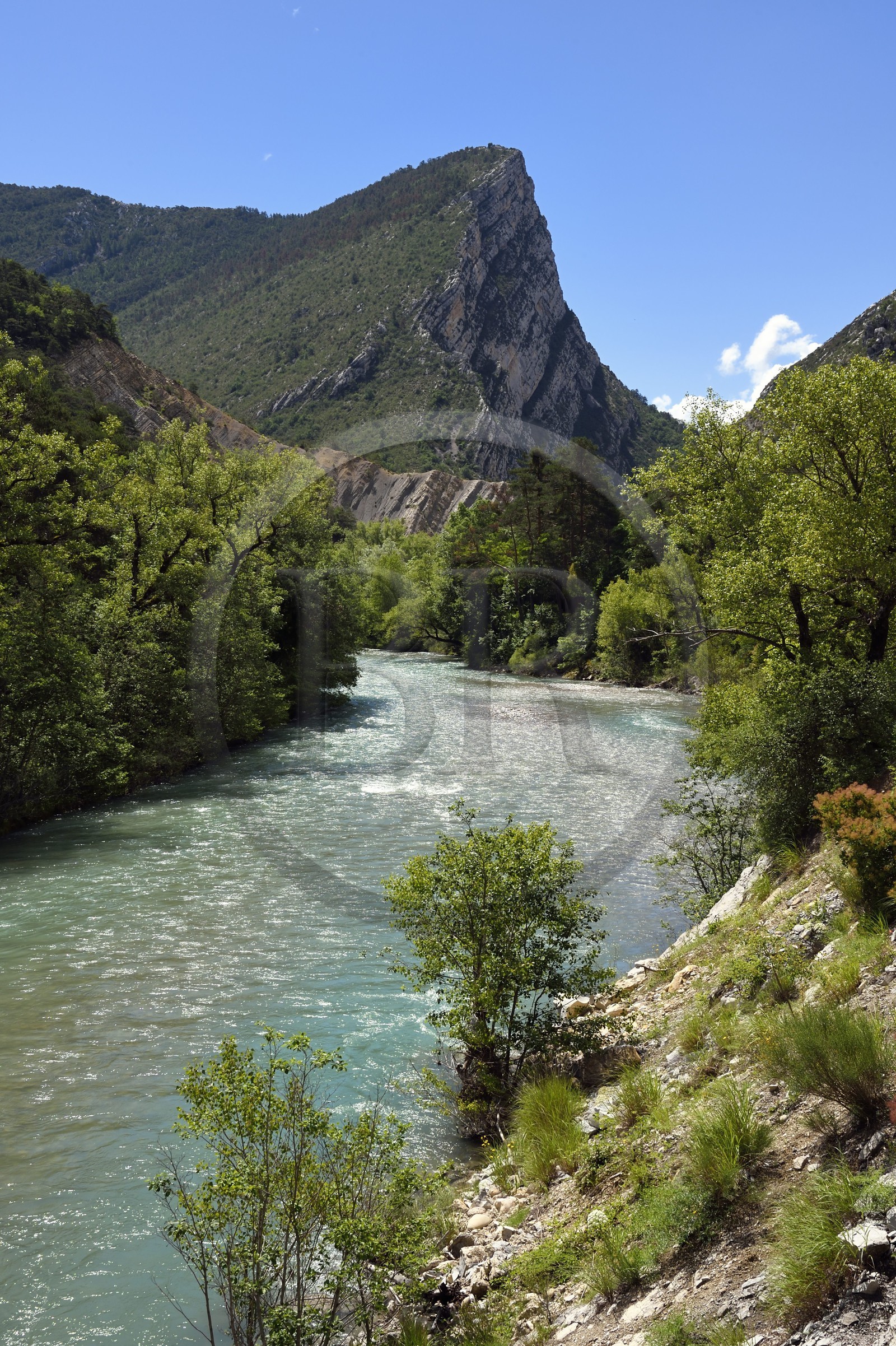 France, Alpes-de-Haute-Provence (04), Parc Naturel Régional du Verdon, Chasteuil, le moyen verdon
