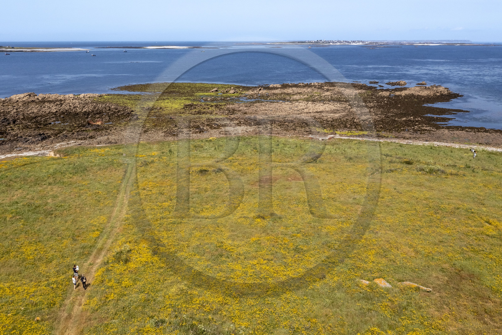 France, Finistère, Iroise Sea, Molene archipelago, West Cape of the Quemenes Island (aerial view)