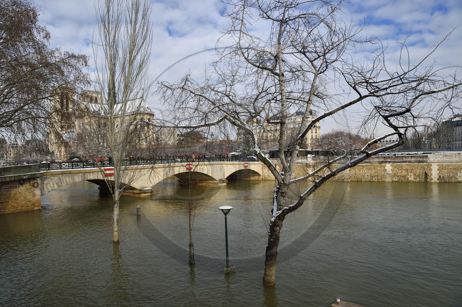France, Paris, area listed as World Heritage by UNESCO, the banks of the Seine, classified World Heritage by UNESCO, the Seine in flood at the pont de l'Archevêché (Archbishop's Bridge) and the Notre-Dame Cathedral under the snow on the Ile de la Cité