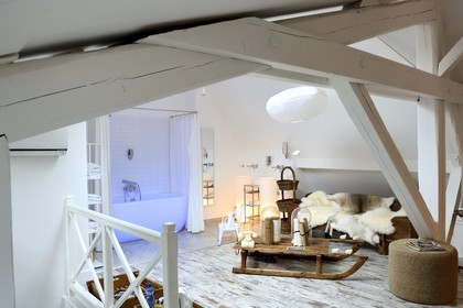 France, Meurthe-et-Moselle (54), Nancy, maison d’hôte La Villa 1901, chambre appelée Le Grenier