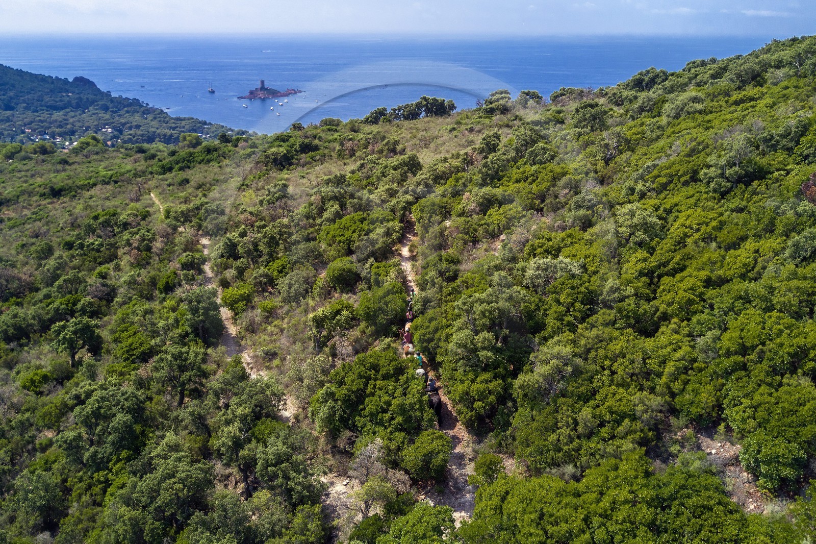 France, Var (83), Agay commune de Saint-Raphaël, cavaliers en randonnée dans le massif de l'Estérel et l'Ile d'Or au large du cap du Dramont en arrière plan (vue aérienne)