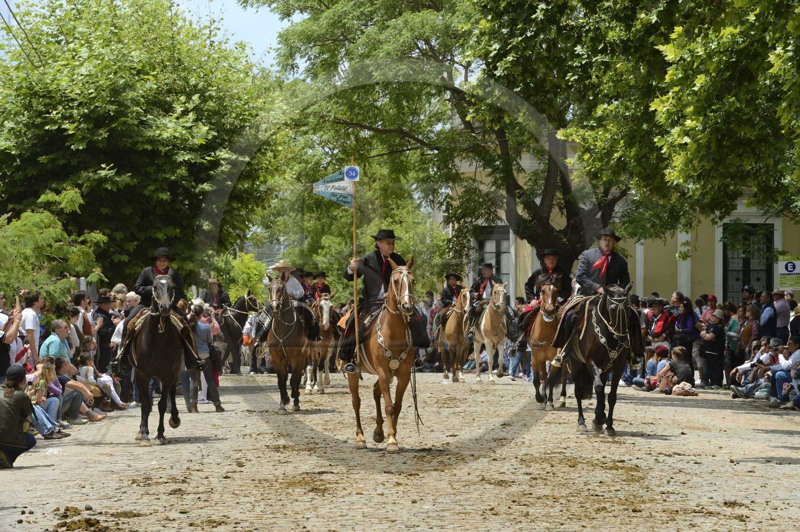 Argentine, province de Buenos Aires, San Antonio de Areco, fête du Jour de la Tradition (Dia de la Tradicion), gauchos à cheval défilant en habit traditionnel