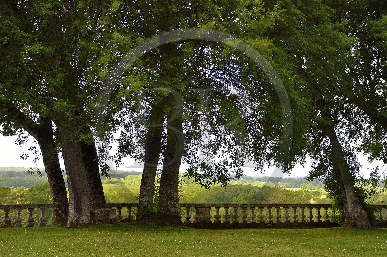 France, Charente-Maritime (17), Saintonge, Taillebourg, balustrade des terrasses du chateau