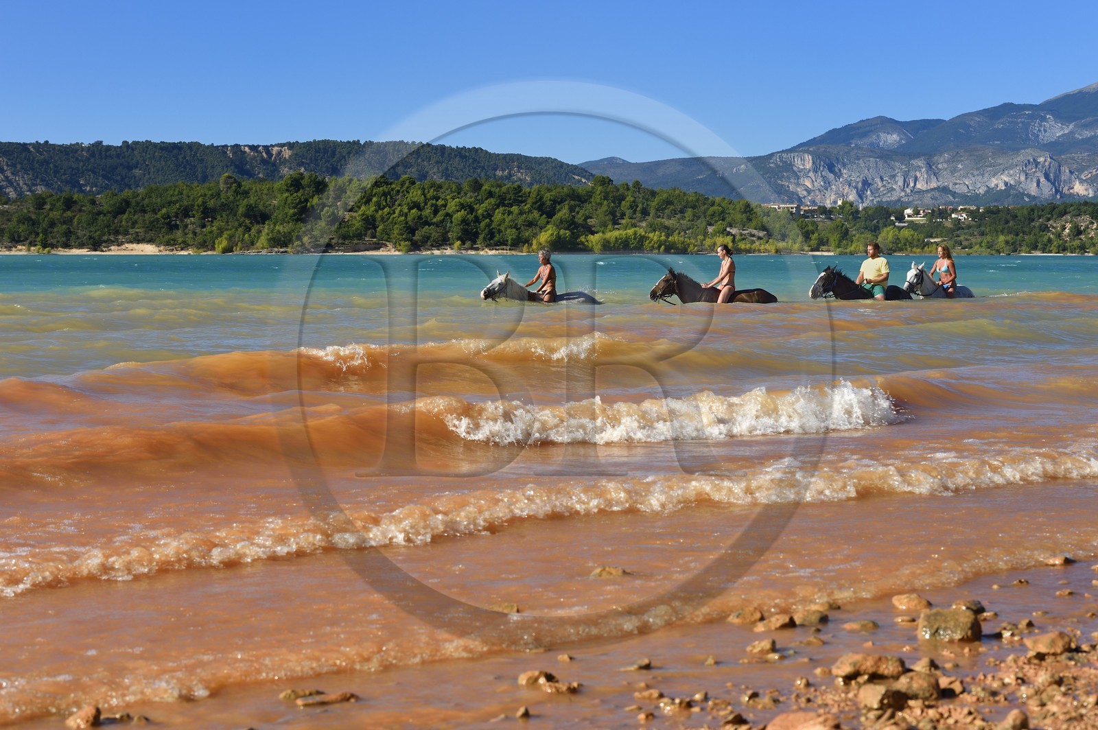 France, Var, Parc Naturel Regional du Verdon, Lake St Croix, horseback riding with Verdon Equitation, Bathing horses forbidden recently (October 2014)