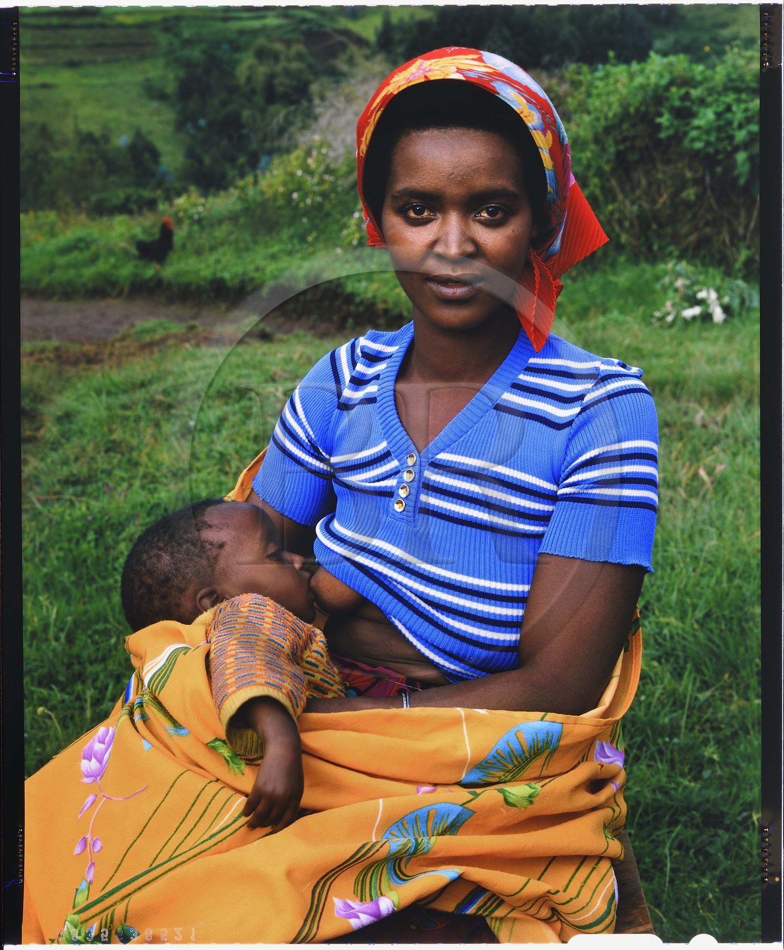 Burundi, Bujumbura Province, Ijenda area, Tutsi woman breastfeeding her baby (4x5 reversal film reproduction)