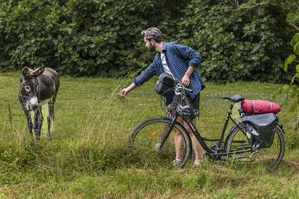 France, Deux-Sèvres (79), le Marais Poitevin, la Venise Verte, Coulon, randonnée à bicyclette, rencontre avec un âne