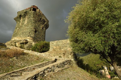 France, Haute Corse, Cap Corse, Nonza, the Paoline Tower (Torra paolina)