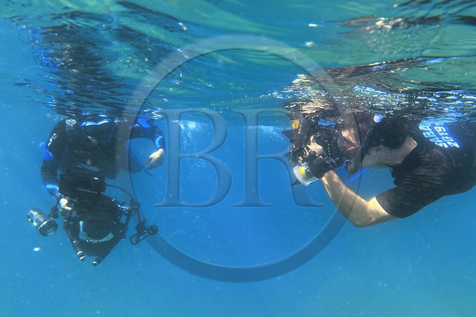 Sultanat d'Oman, gouvernorat de Mascate, réserve naturelle des Iles Daymaniyat, la photographe-plongeuse Maisa Al Hooti avec le plongeur photographe et réalisateur de films Darryl MacDonald