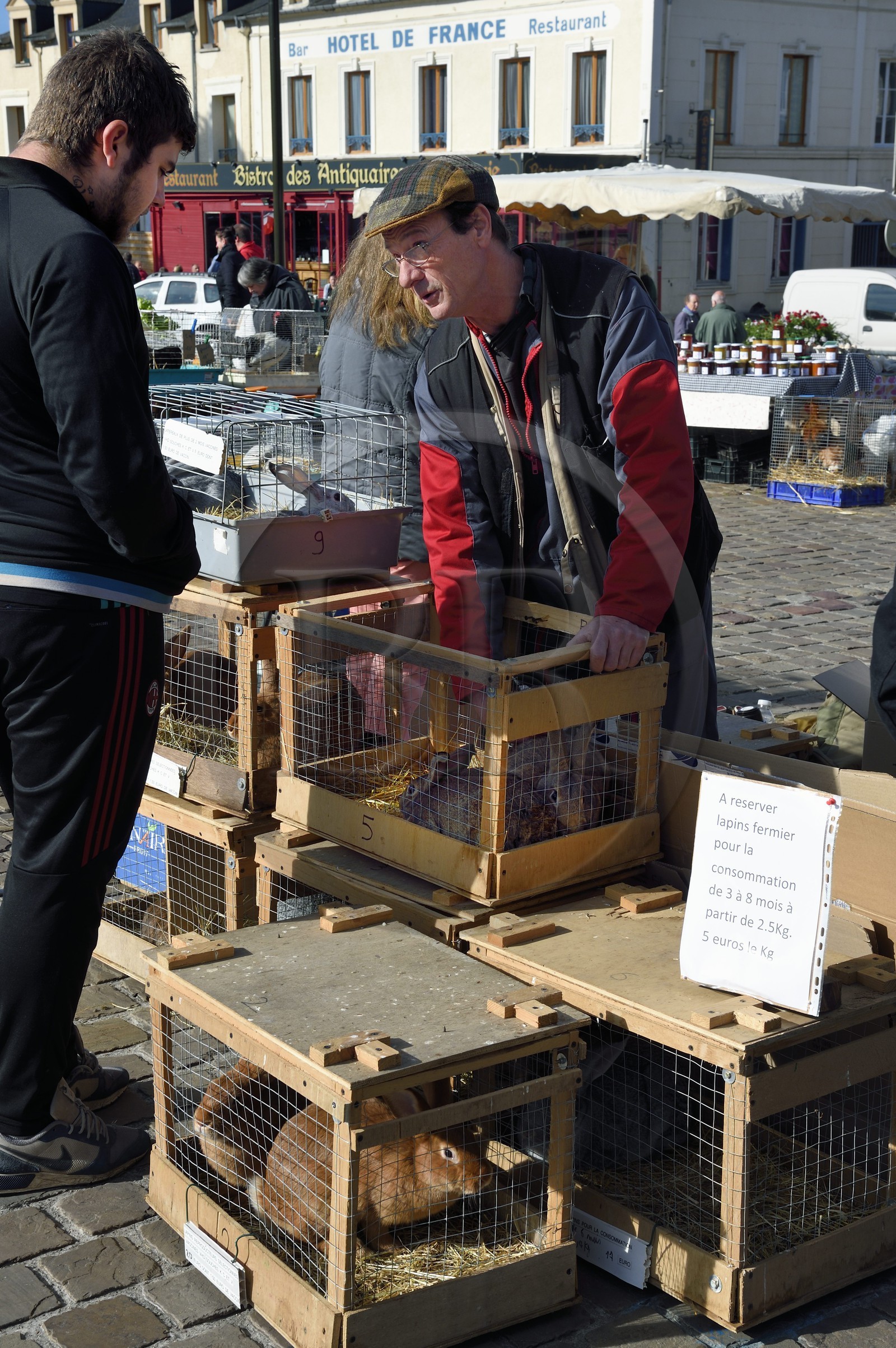 France, Calvados, Pays d'Auge, Saint Pierre sur Dives, market day in front of the halls, the breeder Pierre-Alain sells his rabbits alive