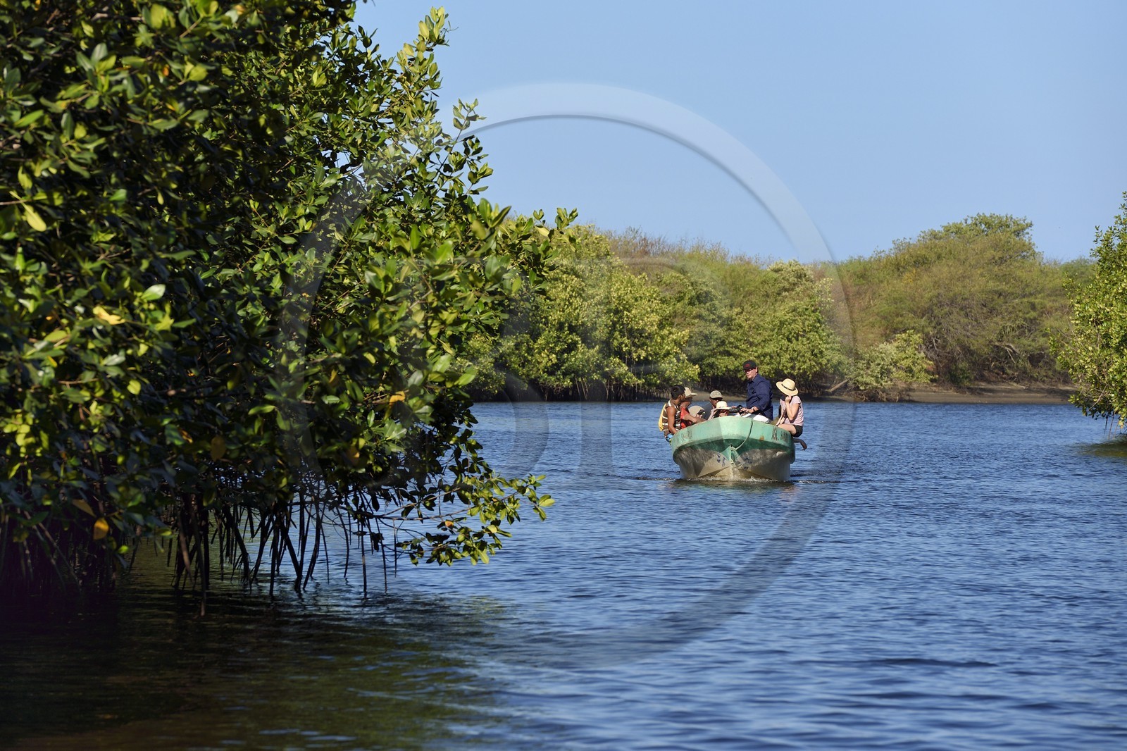 Nicaragua, the Pacific coast of Leon, boat discovery of the Isla Juan Venado Nature Reserve mangrove