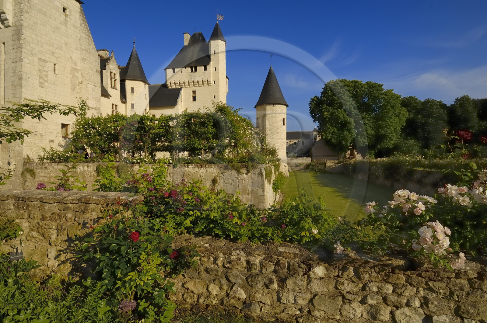 France, Indre et Loire, Chateau du Rivau