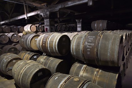 France, Charente (16), Cognac, tonneaux stockés dansles chais de vieillissement de la Maison de cognac Hennessy