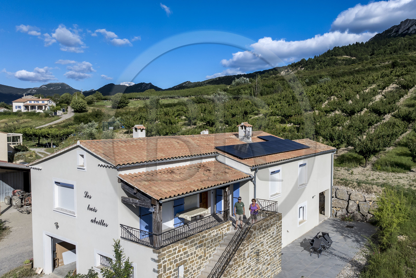 France, Drôme (26), parc naturel régional des Baronnies provençales, Bésignan, vallée de l’Ennuye, culture de l'abricot (vue aérienne)