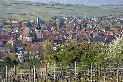 France, Bas Rhin, Rosheim surrounded by vineyards