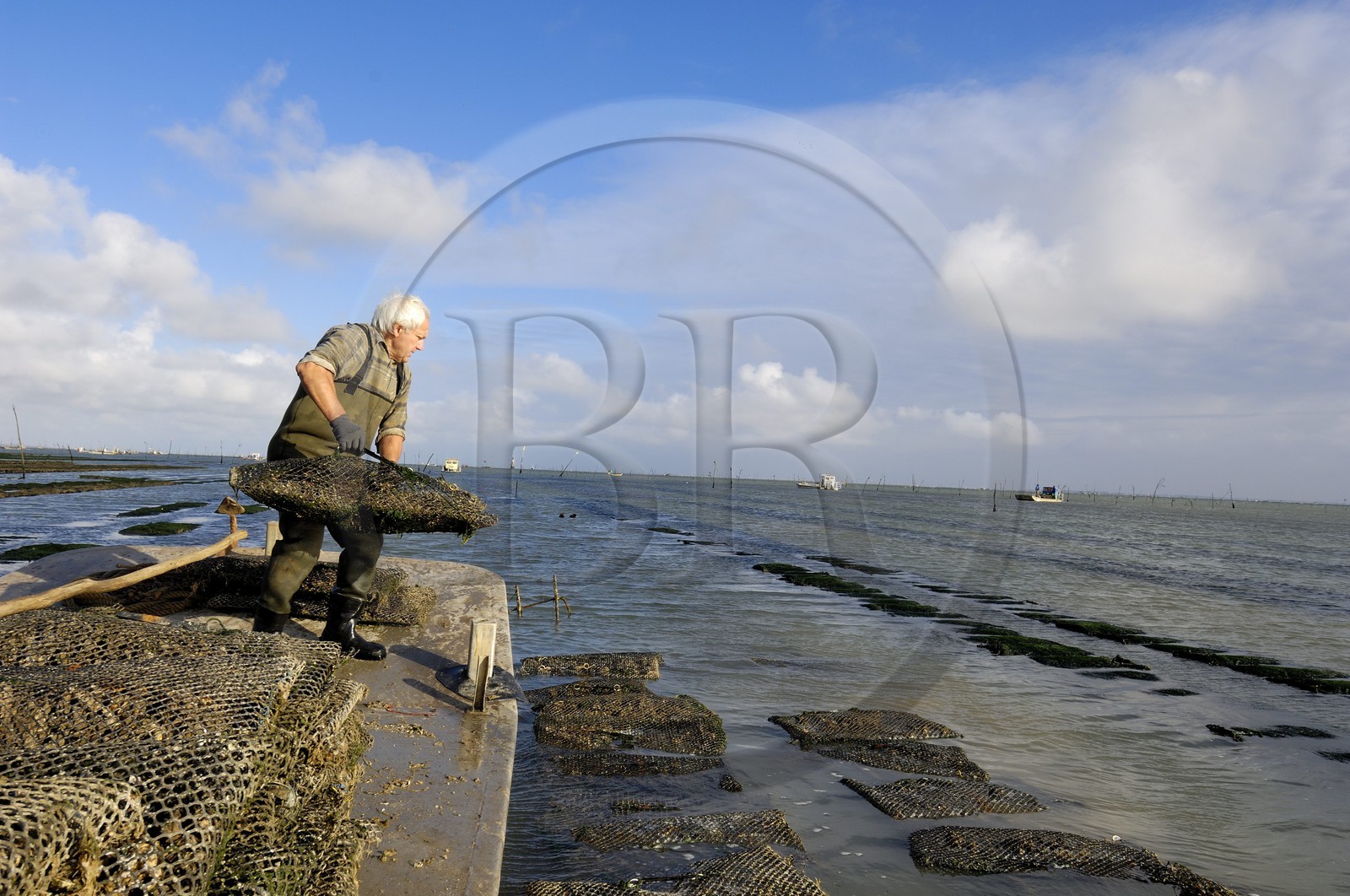 France, Charente-Maritime (17), le bassin Marrennes-Oléron au large de l'Ile d'Oléron, l'ostréiculteur André Massé dans un de ses parcs à huîtres