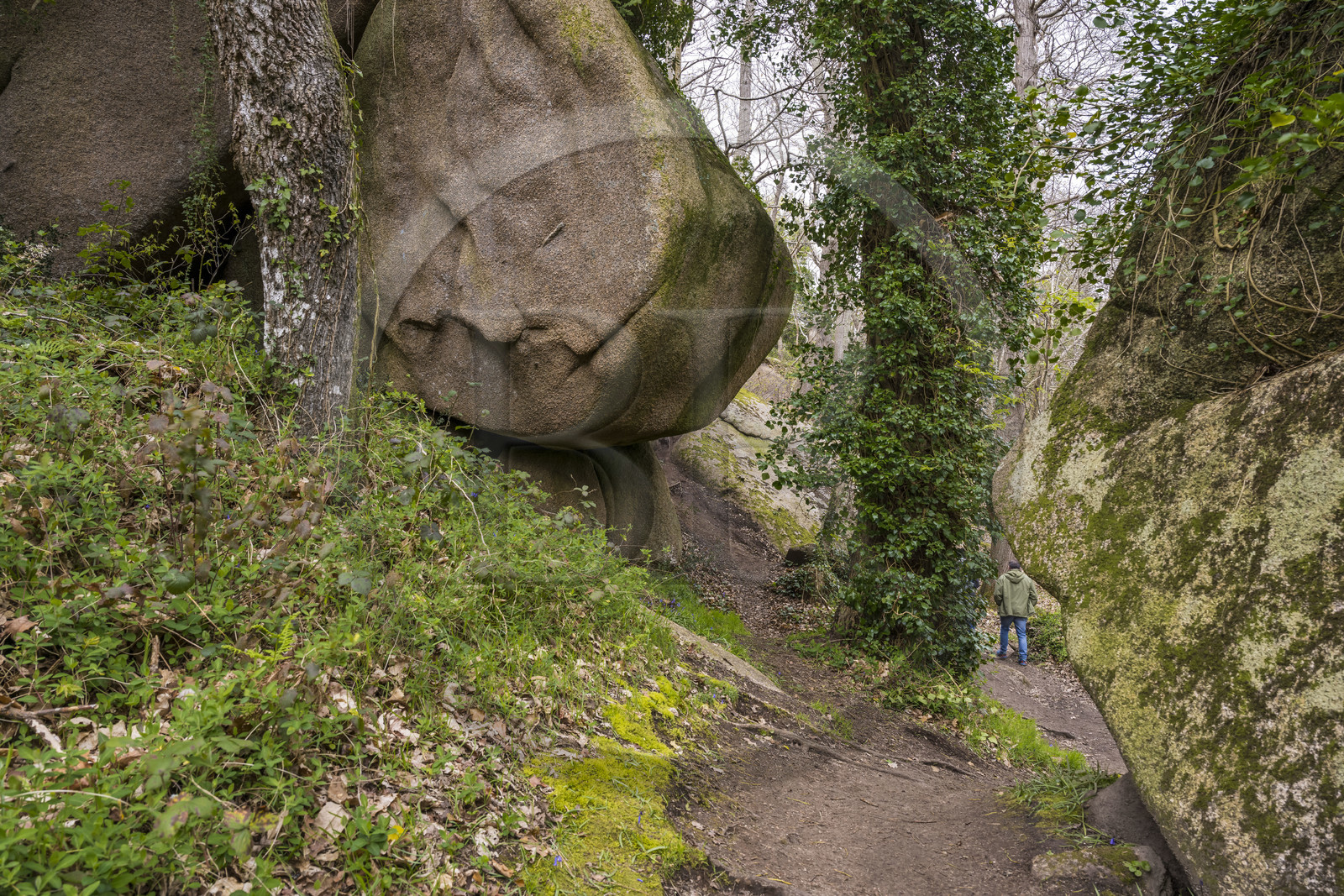 France, Côtes-d'Armor (22), Côte de Granit Rose, Trégastel, vallée des Grands Traouiero, sentier de randonnée évoluant dans le chaos de gros rochers granitiques