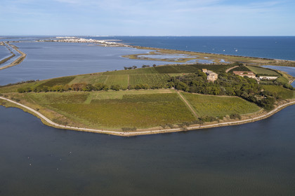 France, Hérault (34), Villeneuve-lès-Maguelone (Palavas-Les-Flots), cathédrale Saint-Pierre-et-Saint-Paul de Maguelone des XIIème et XIIIème siècles entourée de vignes sur son île, l'Etang du Prévost et Palavas-Les-Flots en arrière plan (vue aérienne)