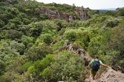 France, Var, between Bagnols en Foret and Roquebrune sur Argens, hike in the Gorges du Blavet