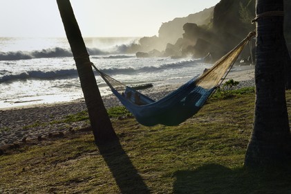France, Ile de la Reunion, Petite-Ile sur la côte sud, plage de Grand-Anse, hamac tendu entre deux palmiers
