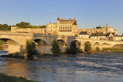 France, Indre et Loire (37), Vallée de la Loire classée Patrimoine mondial de l'UNESCO, château d'Amboise surplombant la Loire