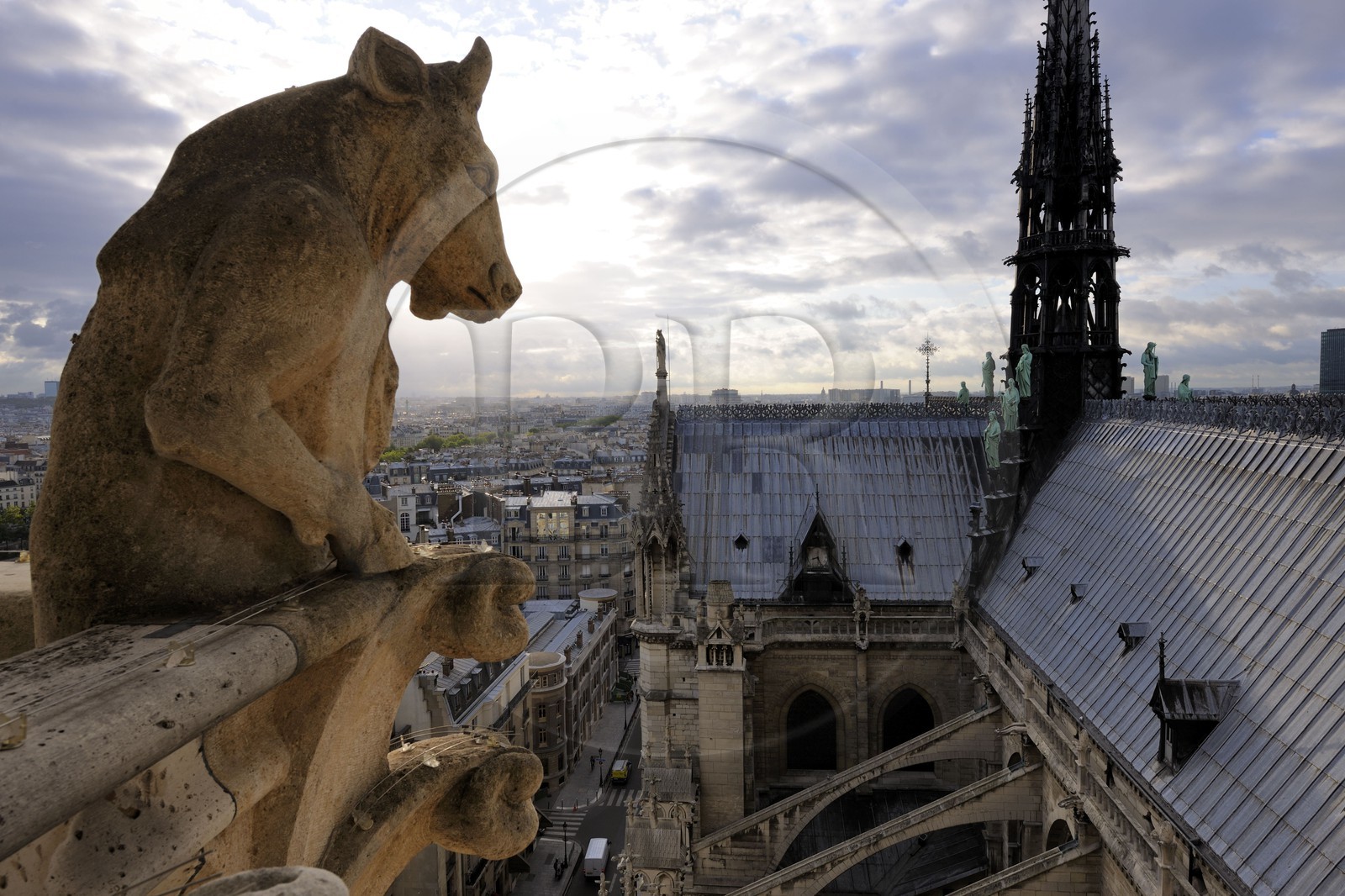 France, Paris (75), île de la Cité, la cathédrale Notre-Dame, les chimères observent la ville, le taureau debout