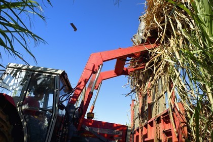 France, Ile de la Reunion, Petite-Ile,