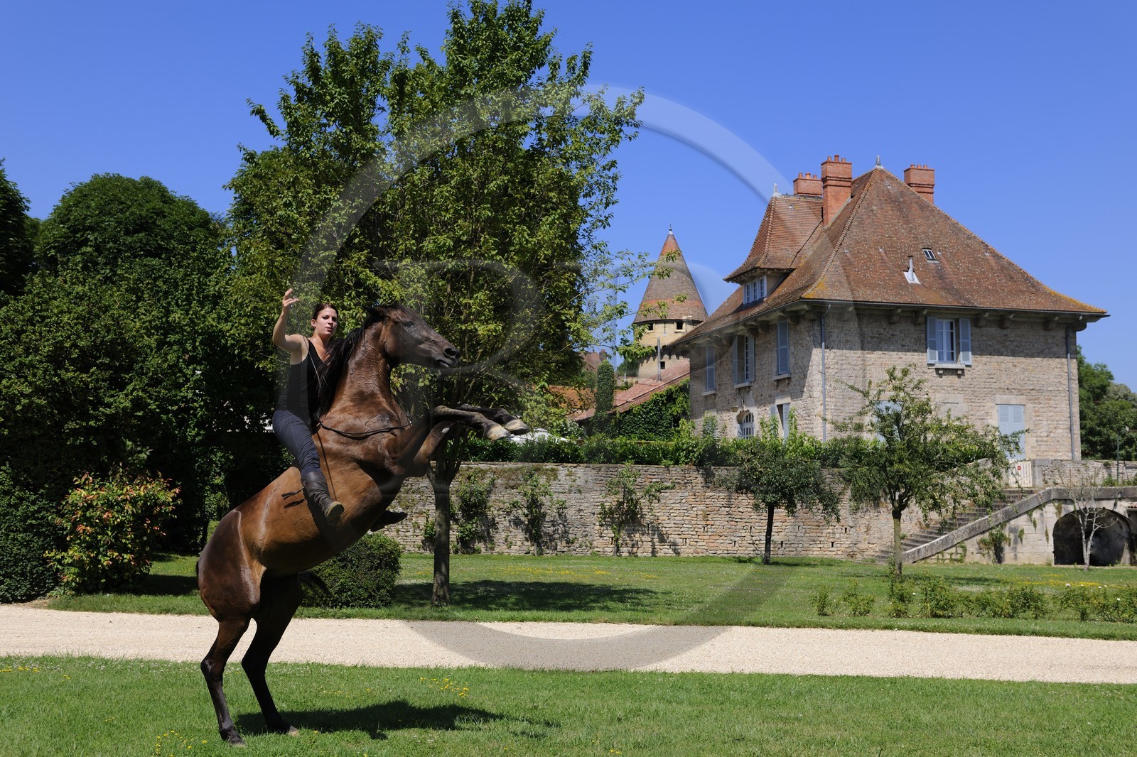 France, Saône et Loire (71), Cluny, le Haras national, Gilliane Senn artiste équestre avec le cheval Vany