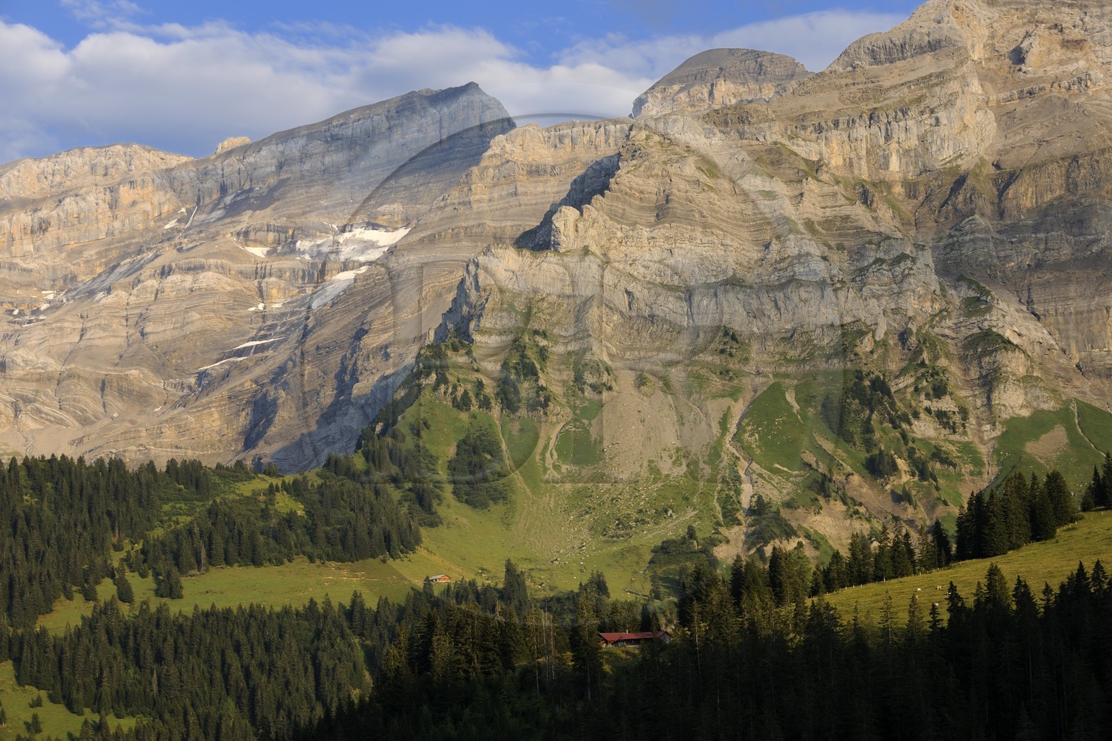 Suisse, canton de Vaud, Les Diablerets au Col de la Croix