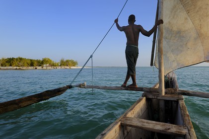 Tanzanie, archipel de Zanzibar, île de Unguja (Zanzibar), côte est, baie de Chwaka vers Michamvi, un dhow (boutre traditionnel)