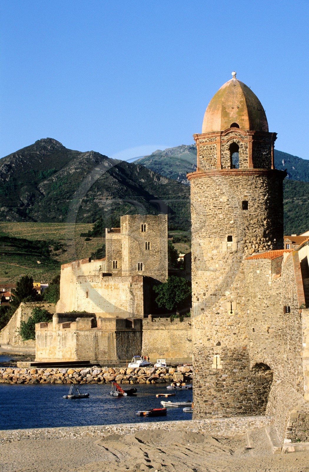 France, Pyrénées-Orientales (66), Collioure, Notre-Dame-des-Anges et le château royal