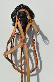 Espagne, Andalousie, province de Séville, Utrera, le haras Ayala (Yeguada Ayala), Pure race espagnole ou PRE (Pura Raza Espanola)