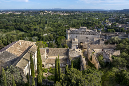 France (30), Gard, Villeneuve-lès-Avignon, l'ancienne abbaye bénédictine et Fort Saint André, le Palais des Papes  à Avignon classé Patrimoine mondial de l'UNESCO et le massif montagneux des Alpilles en arrière plan (vue aérienne)
