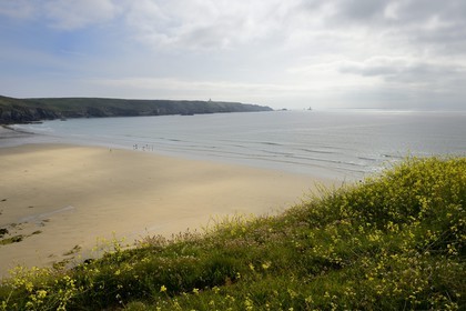 France, Finistère (29),  Mer d'Iroise, Plogoff, plage de la baie des Trépassés et la Pointe du Raz en arrière plan
