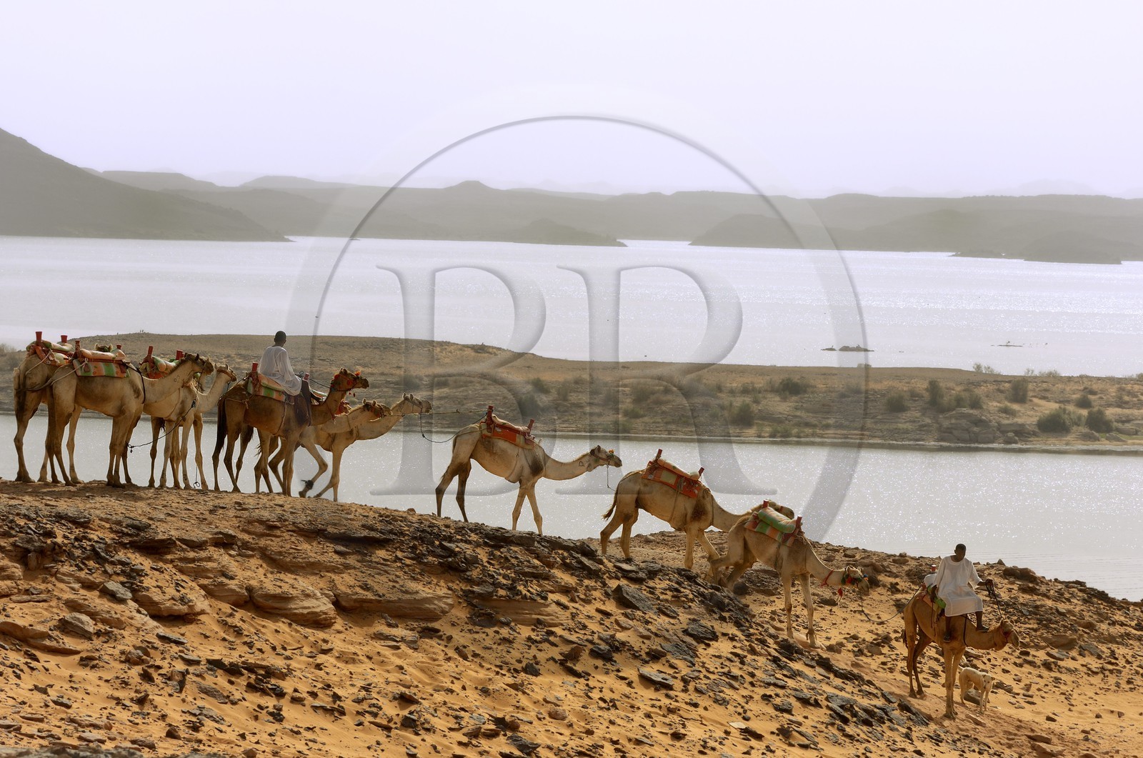 Egypt, Upper Egypt, Lake Nasser, Nubia desert, Wadi es-Sebua site or Valley of the Lions, camel caravan