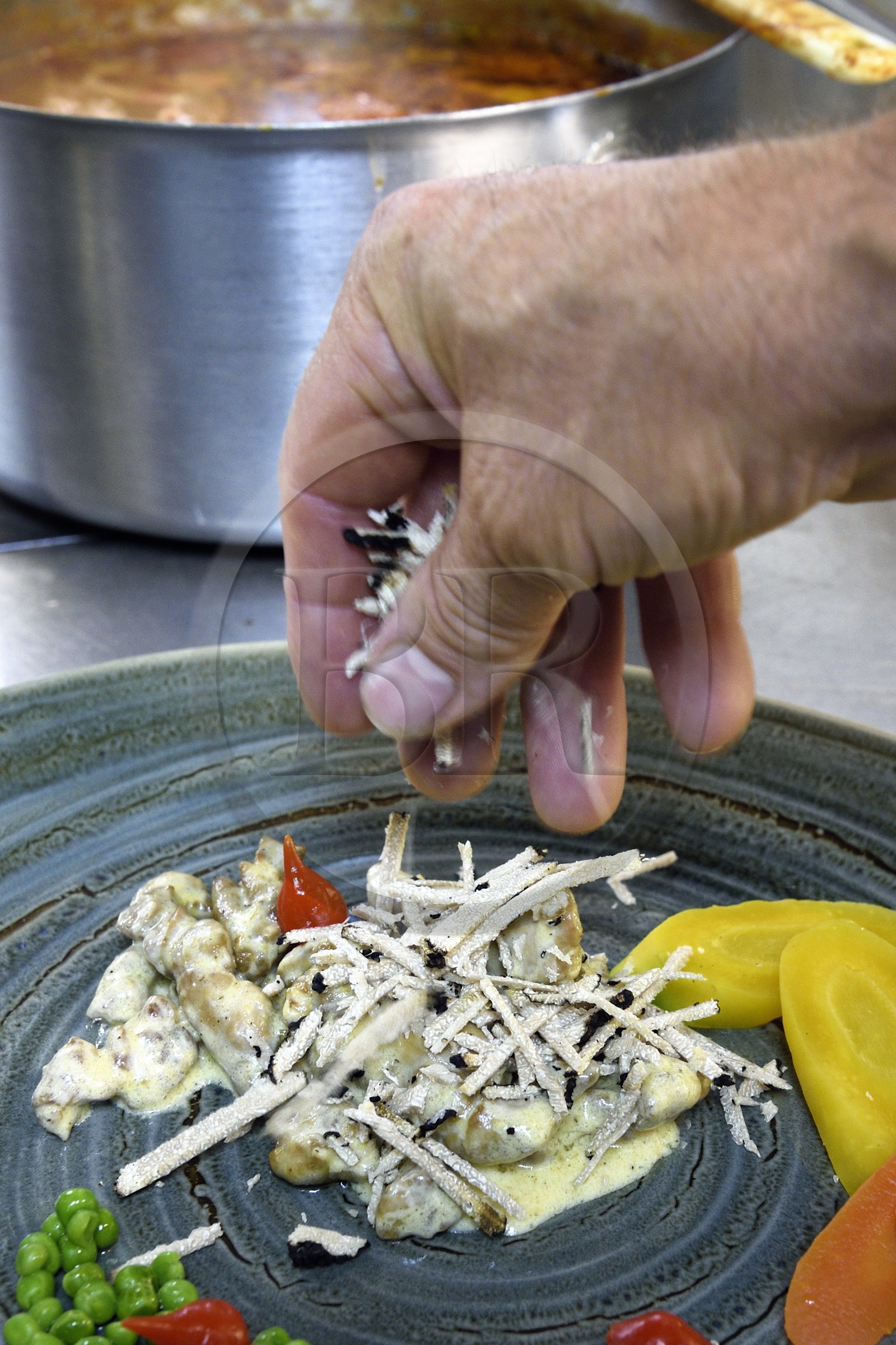 France, Var (83), Aups, restaurant Le Provençal, recette à base de truffes d'été, ris d'agneau à la sauce crème et truffes d'été