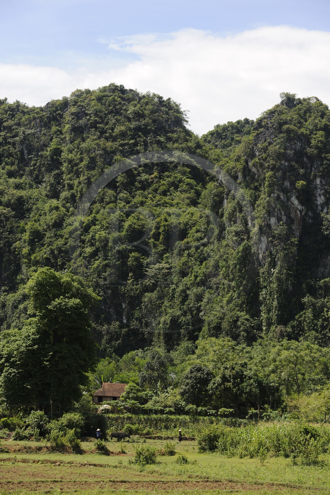 Vietnam, région au Nord-Ouest de Ninh Binh, montagnes bordant l'ancienne piste Ho Chi Minh