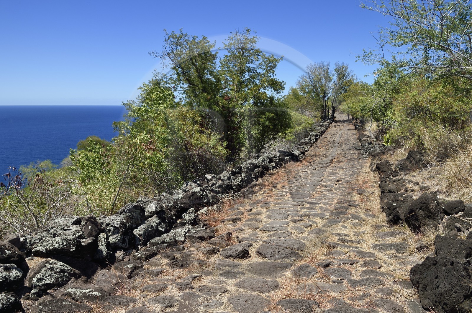 France, Ile de la Reunion, La Possession, le chemin Crémont aussi appelé chemin des Anglais, ancienne route pavé de basalte depuis 1775 qui longe le bord de la falaise de la cote nord-ouest devenu sentier de randonnée