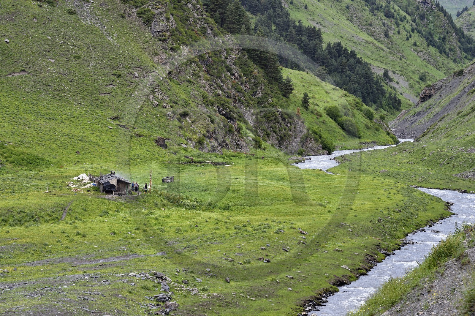 Georgia, Kakheti, Tusheti National Park, Alazani River Valley in the mountains of Pirikiti, shepherds' camp
